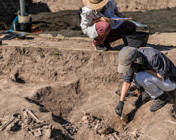 Expert en Archéologie